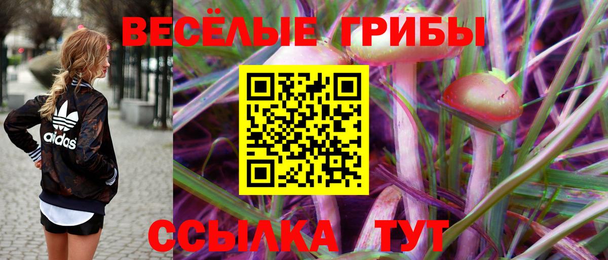 Чапаевск  Псилоцибиновые грибы мухоморы  Галлюциногенные грибы ЛСД  Вход с VPN 